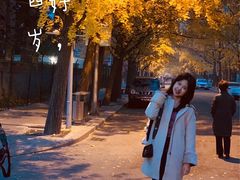 -三里屯东五街银杏大道