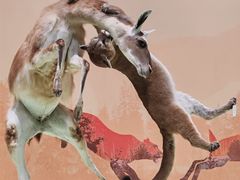 -国家自然博物馆