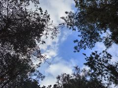 -帽儿山国家森林公园