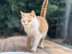 -田德能咖啡博物馆