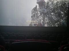 -万达影城(锦华万达广场IMAX店)