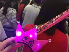 -南京奥林匹克体育中心-体育馆