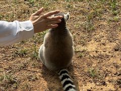 -秦皇岛野生动物园