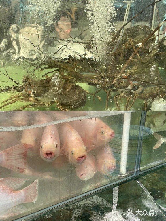 补充能量的海鲜店铺-小海豚海鲜