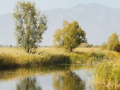 -野鸭湖国家湿地公园