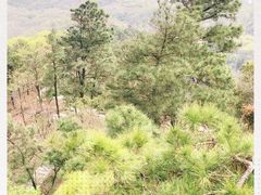 -敬亭山风景名胜区