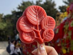 -香山公园