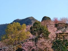 -灵光寺