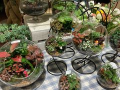 -AEON永旺(东方宝泰店)