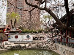 -碑林公园