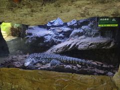 -海南热带野生动植物园