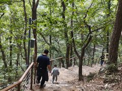 -北京上方山国家森林公园