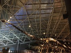 -世界恐龙谷景区