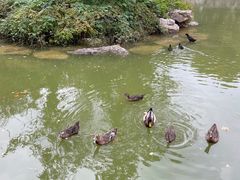 -贮水山儿童公园