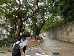 -香港大学