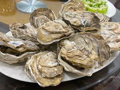 生蚝-蚝专家(北滘店)