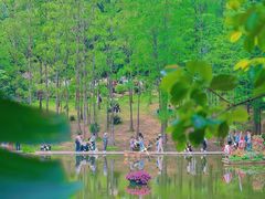 -深圳仙湖植物园