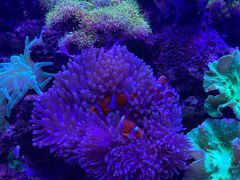 -多彩贵州城极地海洋世界