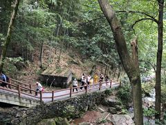 -藏龙百瀑风景区