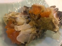 -渔娘渔家丹东海鲜(东直门店)