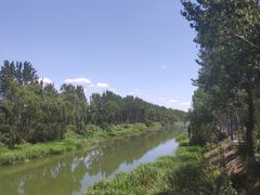 -东郊湿地公园