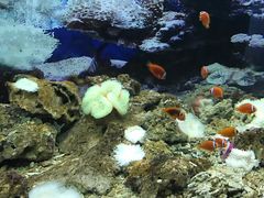 -泉州海丝野生动物世界