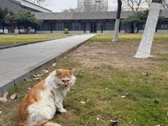 -护国法轮寺