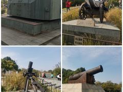 -上海吴淞炮台湾国家湿地公园