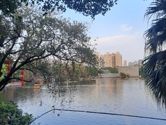 -荔湾湖公园