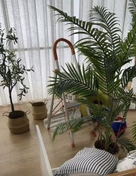 -INBABY 高端儿童摄影(万悦城店)