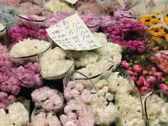 -循礼门鲜花花市(武汉循礼门店)