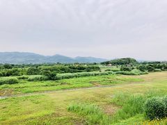 -良渚文化村