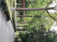 -苏州河梦清园环保主题公园