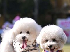 -上海神旺大酒店