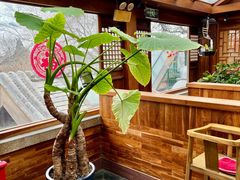 -小吊梨汤·北京菜(香山店)