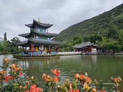 -黑龙潭公园
