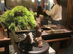 -呷哺呷哺(松江开元店)