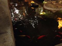 iphone_upload_pic-松子料理(亮马桥店)