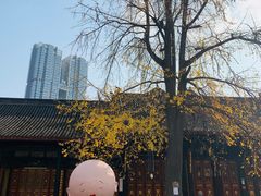 -古大圣慈寺