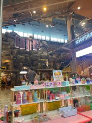 -卡通尼·Safari非洲探索乐园·生日会(金桥国际商业广场店)