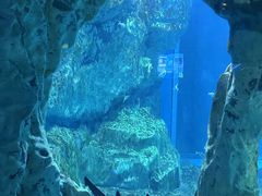 -海合安成都极地海洋公园