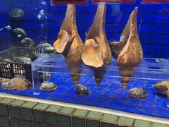 -金悦轩海鲜酒家(拱北店)