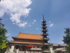 -天津大悲禅院