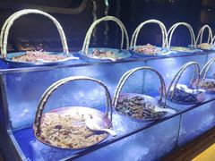 -上海闵行星河湾酒店