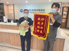 -北京派仕佳德动物医院·超导核磁·CT·神经科·骨科·内外科·急重症管理中心