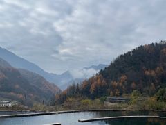 -卧龙自然保护区