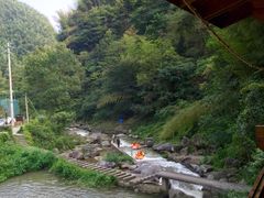 -四明山国家森林公园