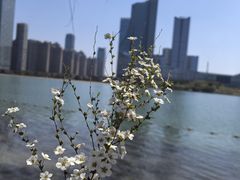 -天鹅湖体育公园