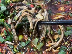 鳝丝-乐山第一家临江鳝丝(茶坊路店)