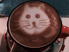 虎虎咖啡-Anne猫窝咖啡屋